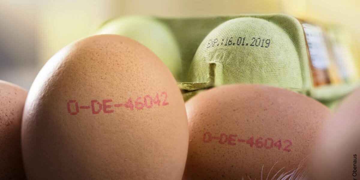 Etiquetar huevos