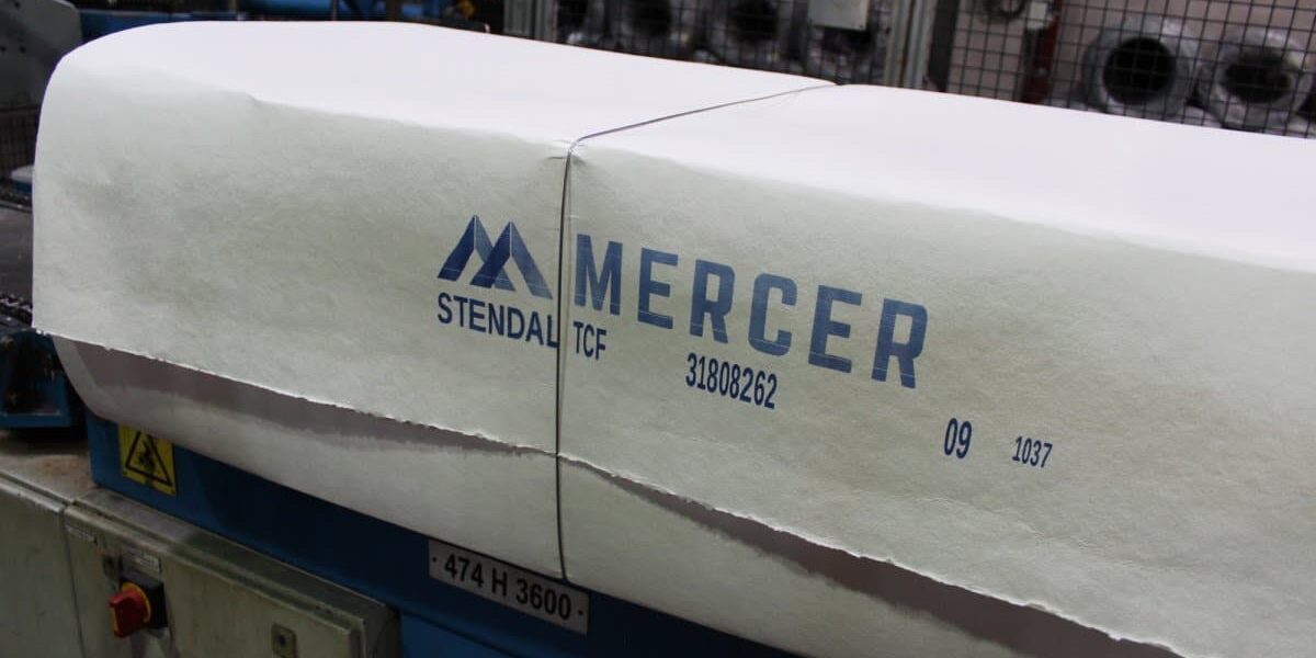 Pulpa Stendal 2000