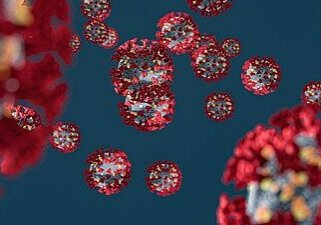 corona-virus-4932576_1920_d4e5de69f8